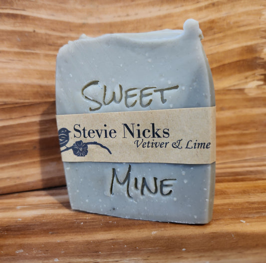 The stevie Nicks